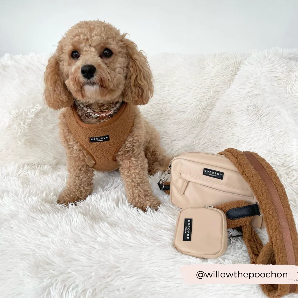 Teddy Bag Strap - Paddington - Image 6