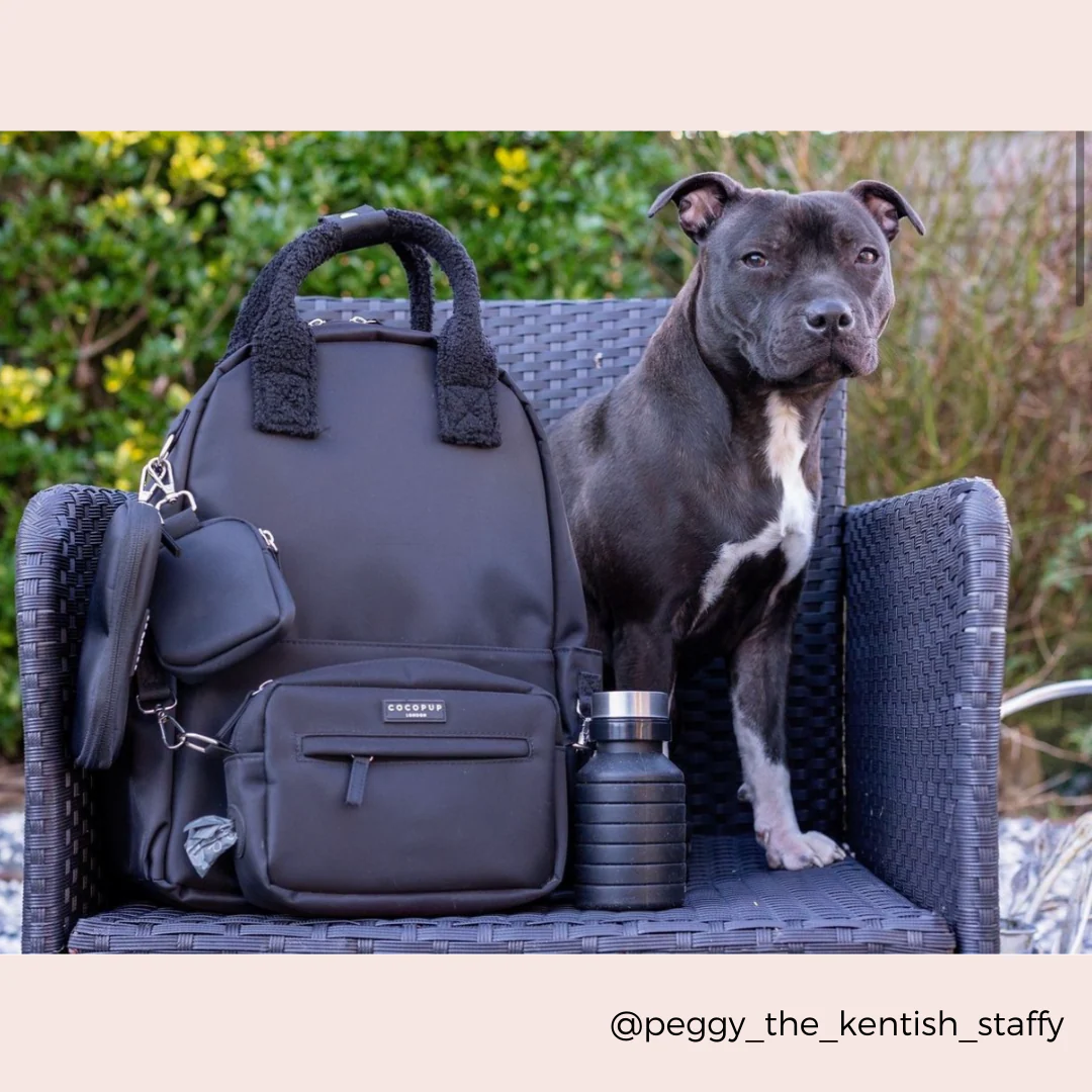 Rucksack - Black - Image 11