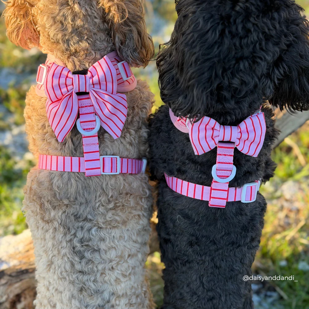 Candy Stripe Sailor Bow Tie - Image 3