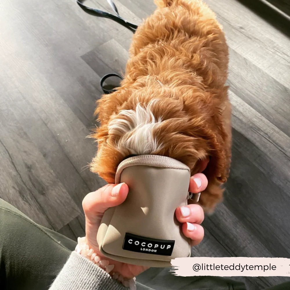 Treat Pouch - Caramel Latte - Image 3