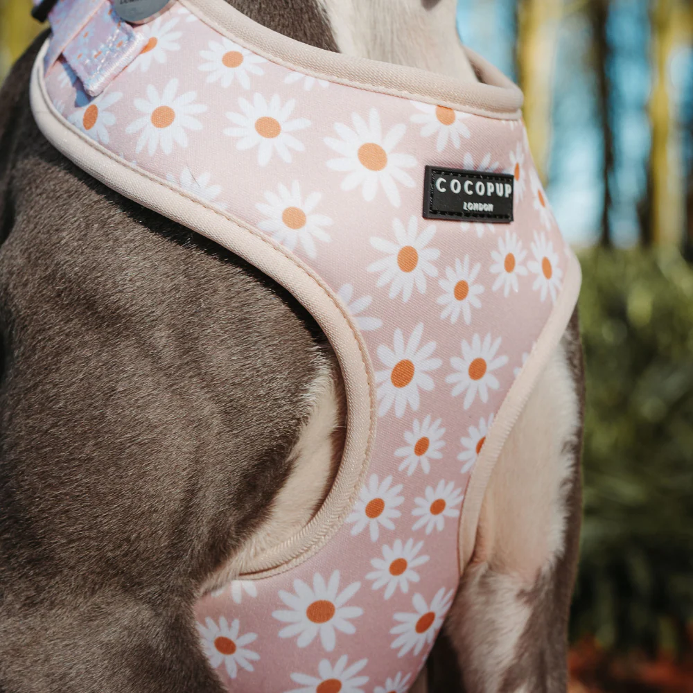 Daisy Chain Adjustable Neck HARNESS - Image 8