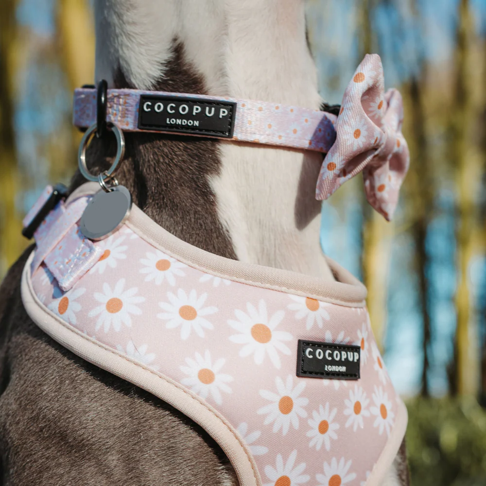 Daisy Chain Bow Tie - Image 5