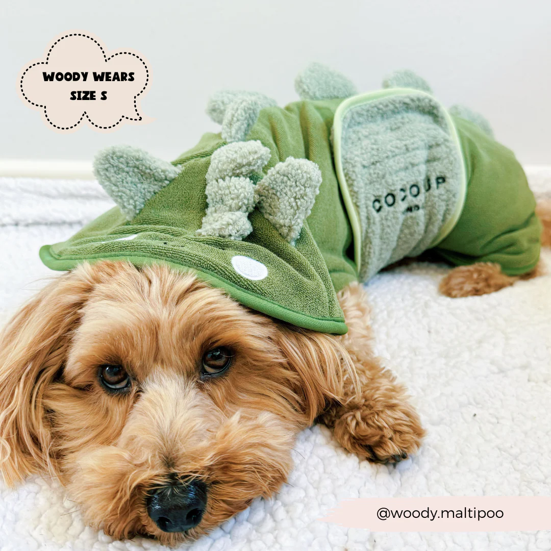 Dinopup Drying Robe - Image 10