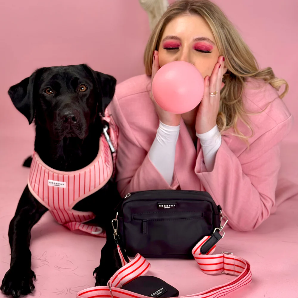 Bag Strap - Candy Stripe - Image 6