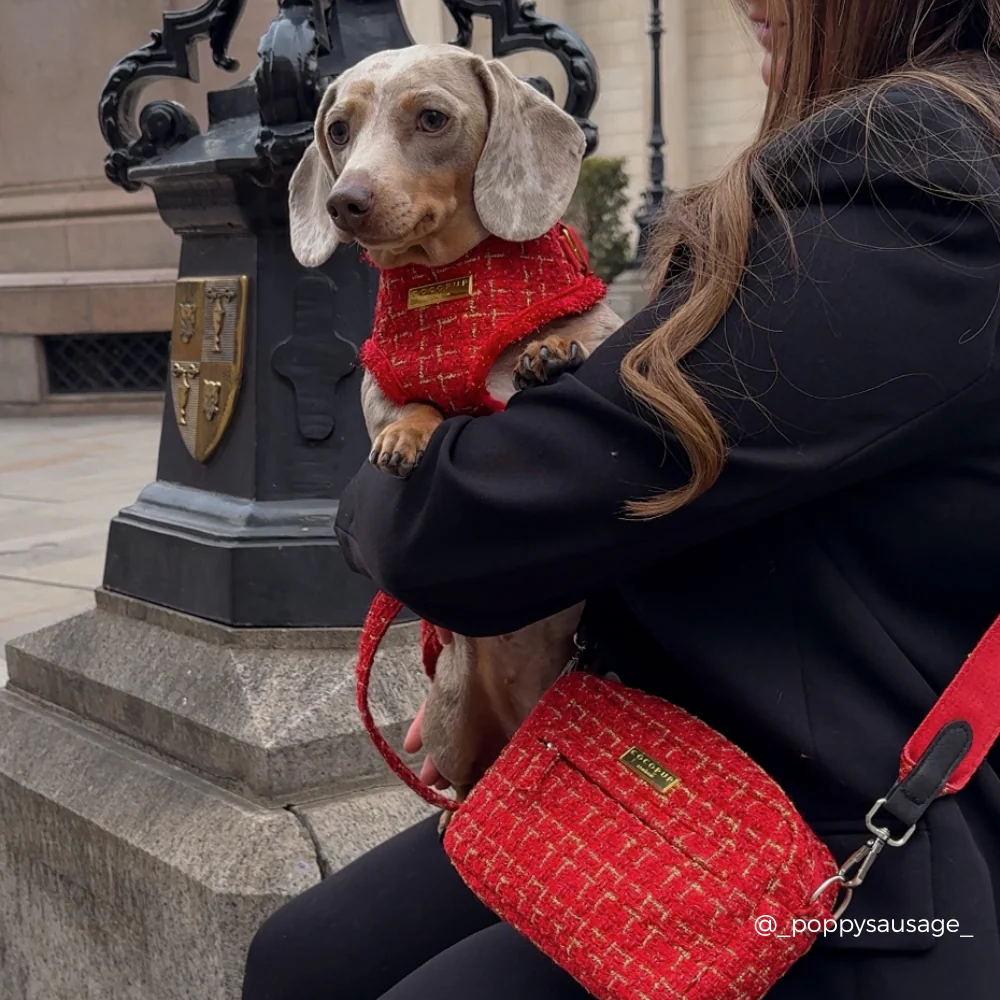 Red Textured Tweed Adjustable Neck HARNESS - Image 9