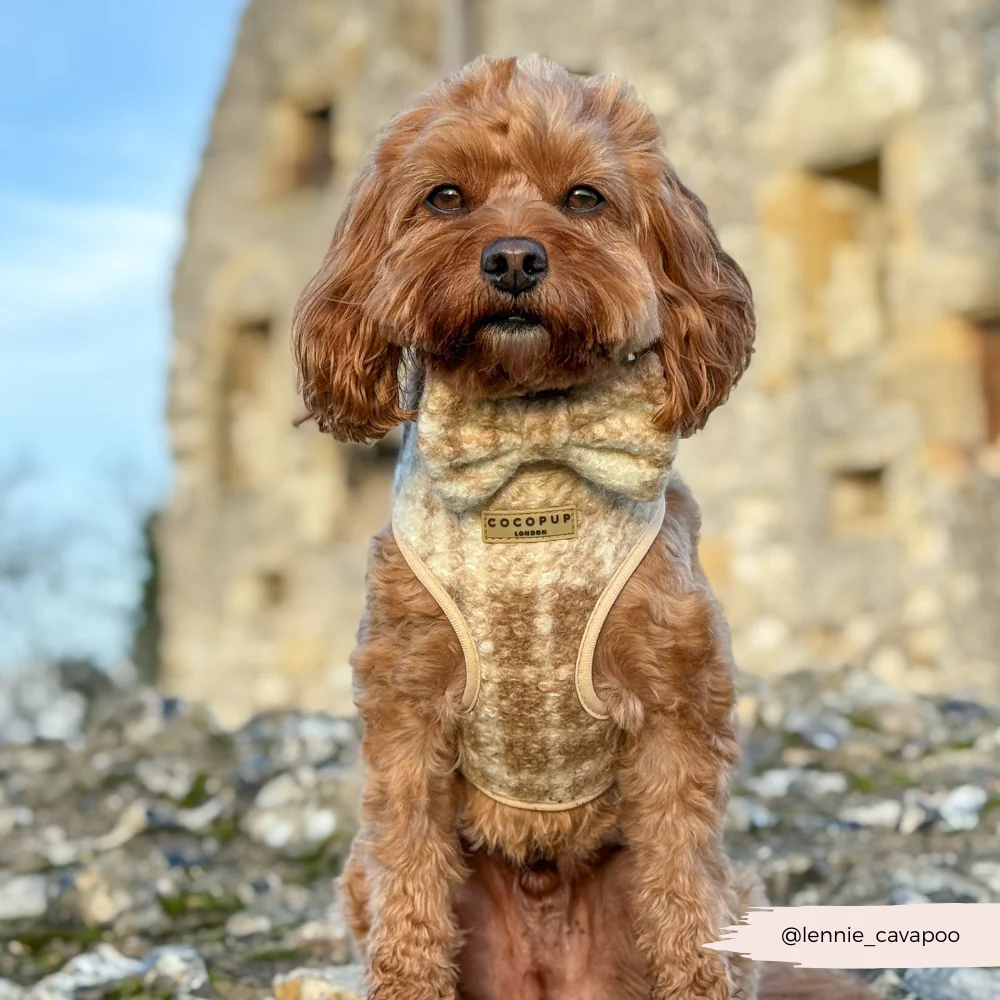 Highland Fleece Adjustable Neck HARNESS - Oatmeal - Image 7