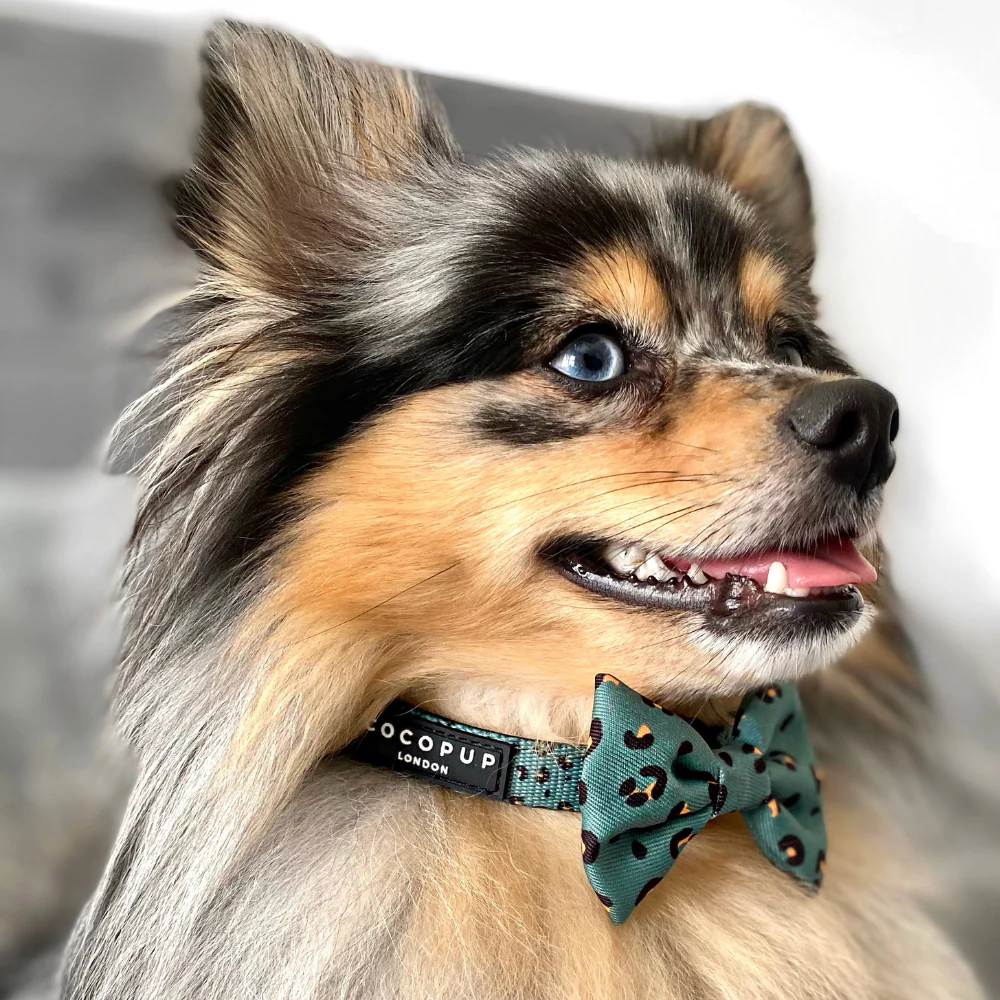 Khaki Leopard Bow Tie - Image 4