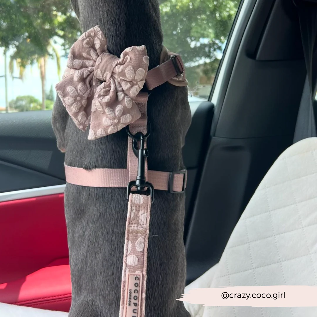 Luxe Lead - Mocha Flower - Image 6