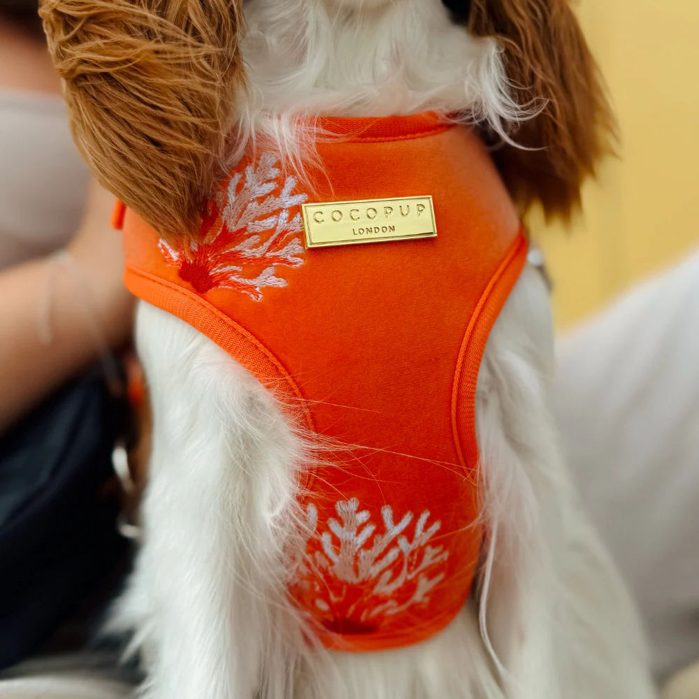 Luxe Velvet Adjustable Neck HARNESS- Coral Core - Image 7