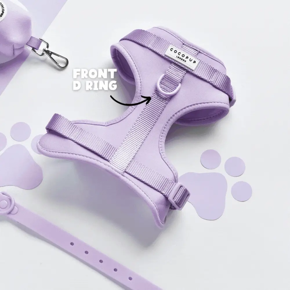 NAKD Adjustable Neck Harness - Brownie - Image 5