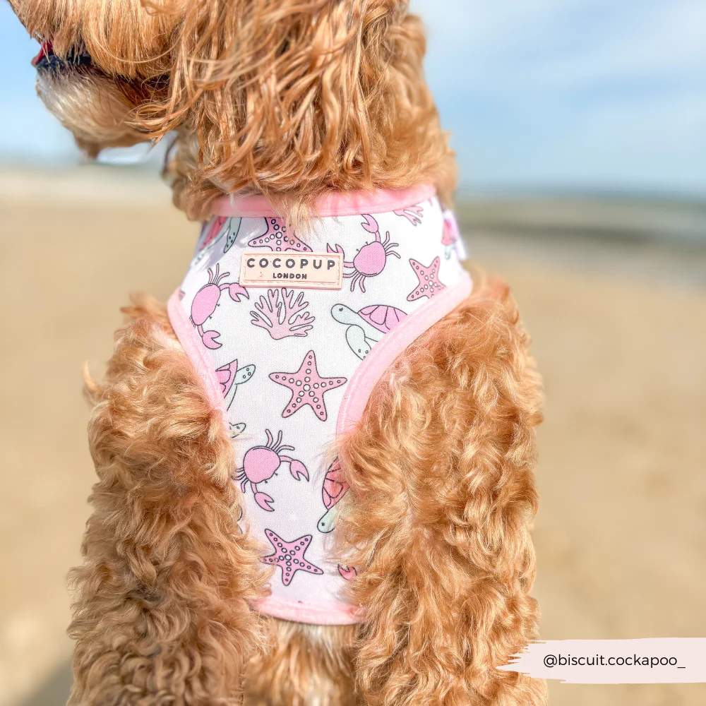 Pawcific Pink Reef Adjustable Neck HARNESS - Image 7