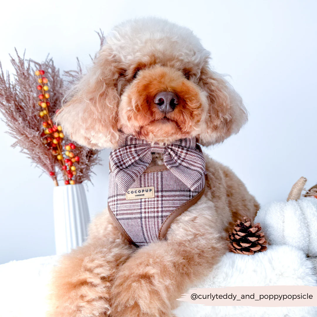 Pup Plaid Adjustable Neck HARNESS - Image 19