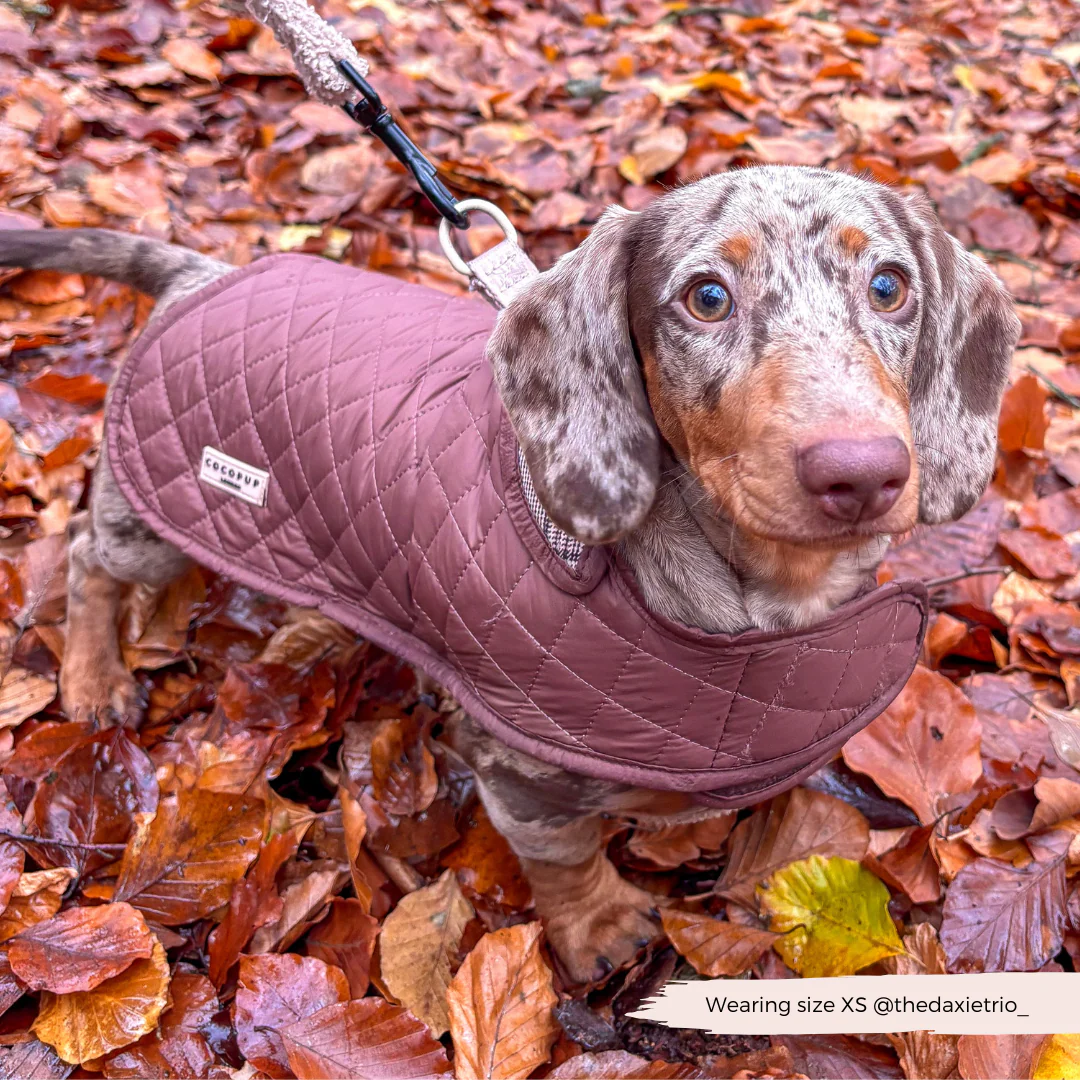 Quilted Dog Coat - Pup Plaid - Image 20