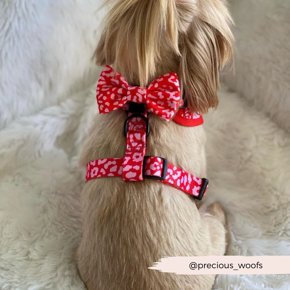Red & Pink Leopard Bow Tie - Image 10