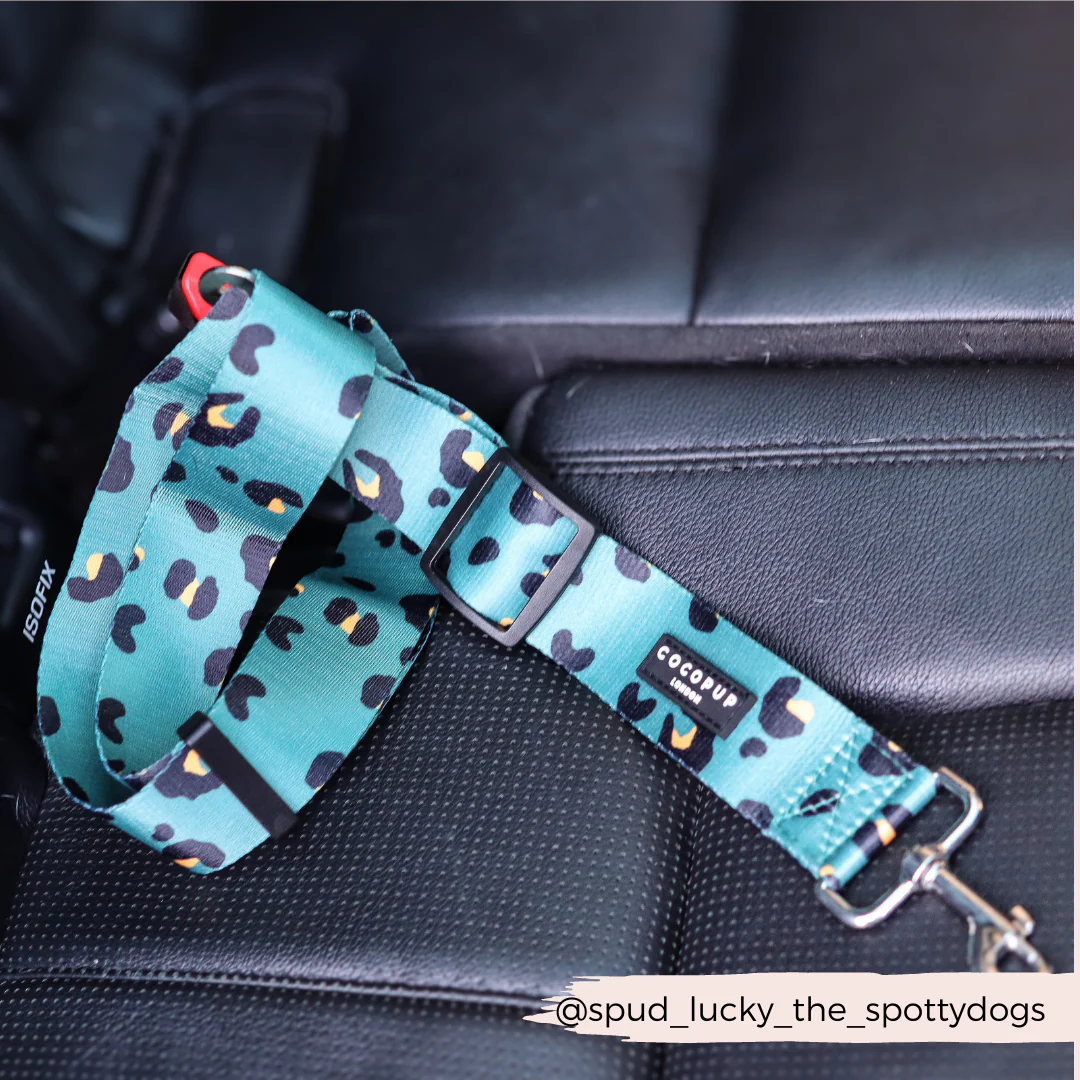Seat Belt Restraint - Khaki Leopard - Image 6