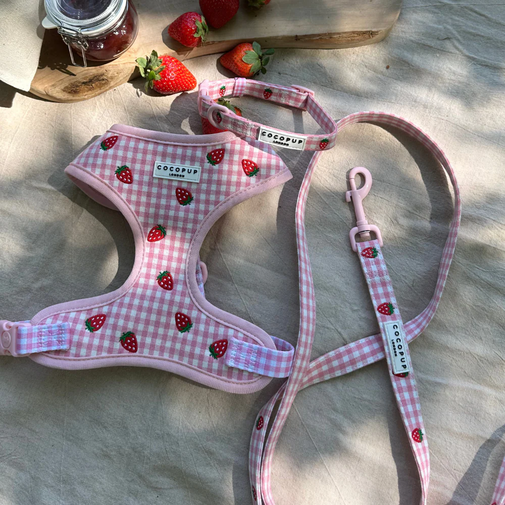 Strawberry Picnic Pup Lead - Image 3