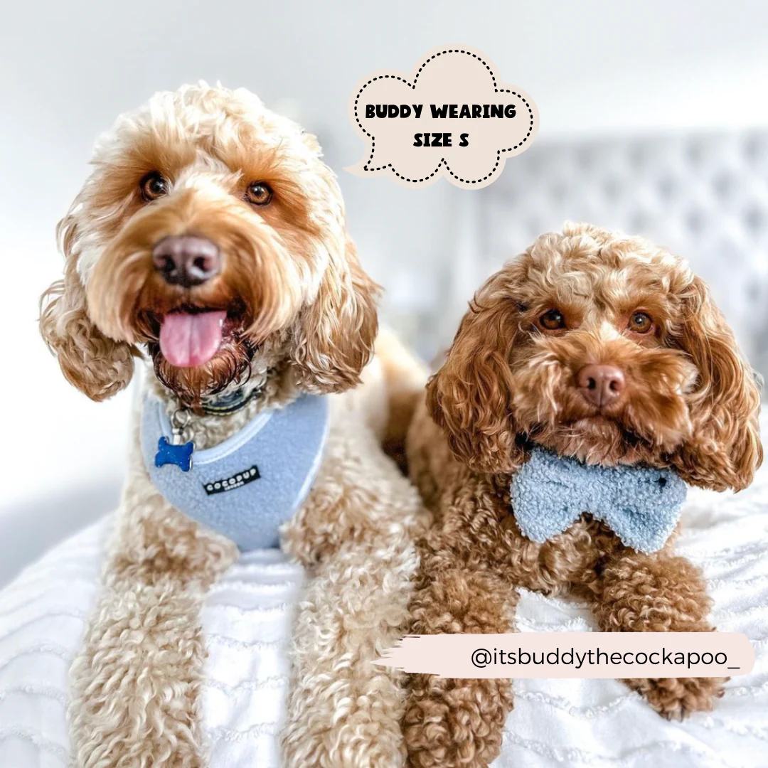 Teddy Bow Tie - Daydream - Image 6