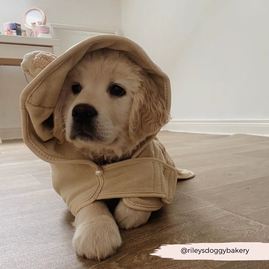 Teddy Drying Robe - Image 17
