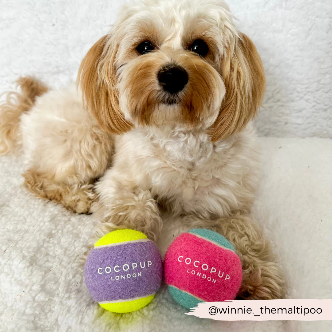 Tennis Ball - Pink & Blue - Image 3