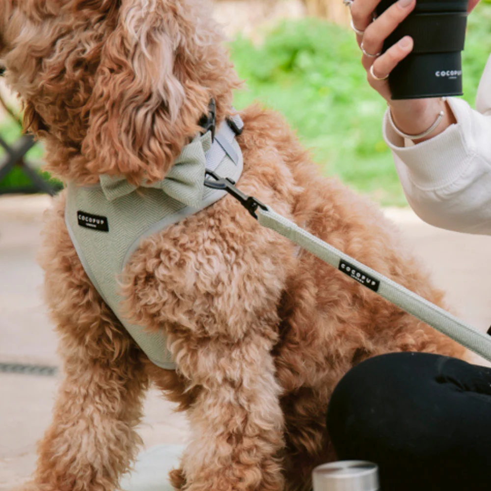 Sage Tweed Adjustable Neck HARNESS - Image 4