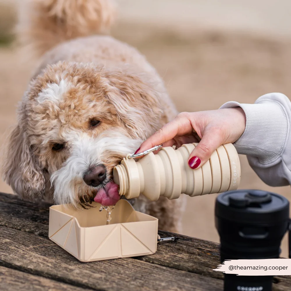 Collapsible Water Bottle - Nude - Image 10